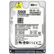 هارددیسک اینترنال وسترن دیجیتال مدل WD3200BUCT ظرفیت 320 گیگابایت - تصویر 1