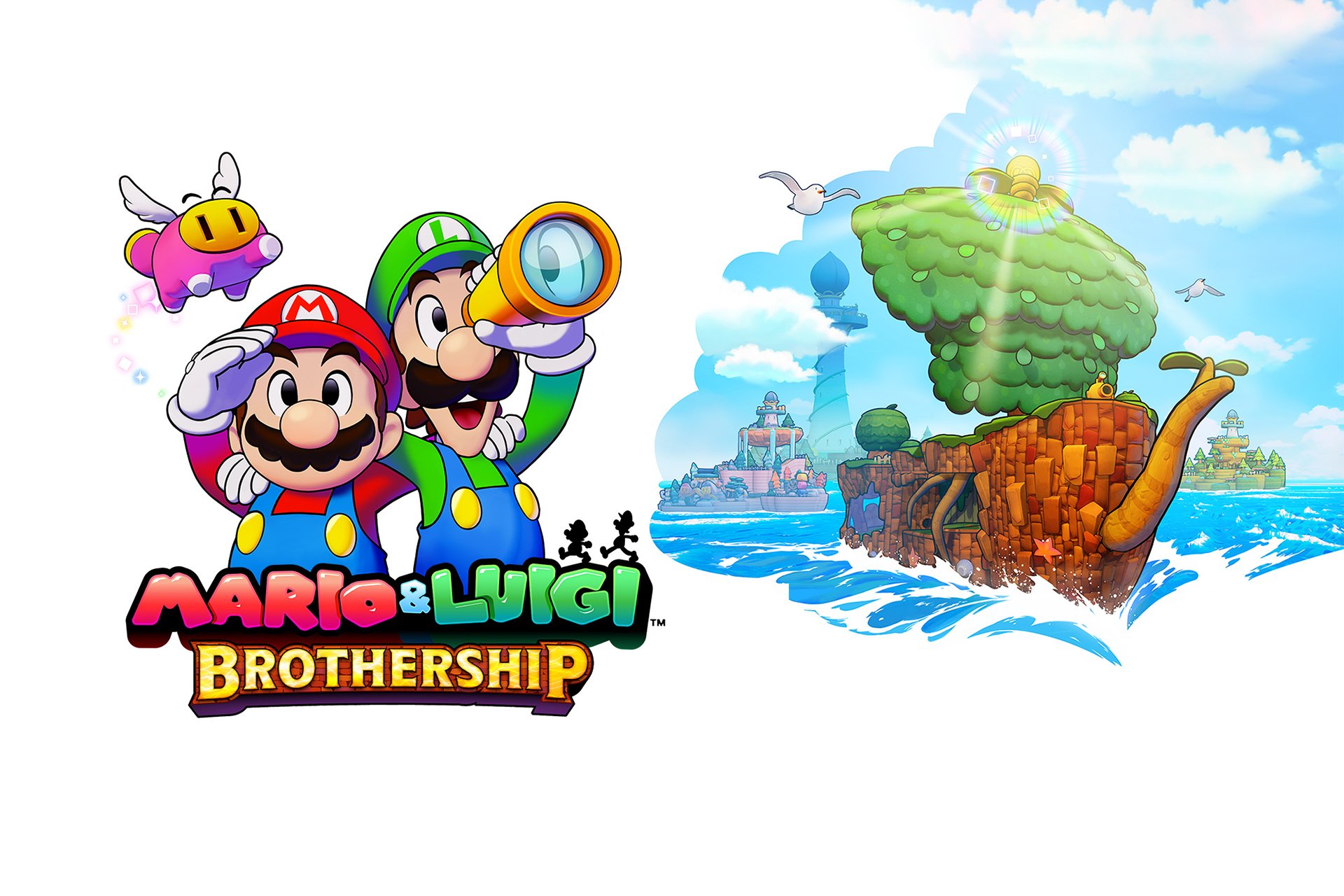 MarioLuigiBrothership