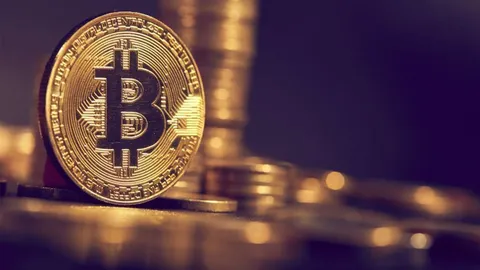 پیش‌بینی تحلیلگران: قیمت بیت کوین به ۱۰۰ هزار دلار می‌رسد و سپس سقوط می‌کند