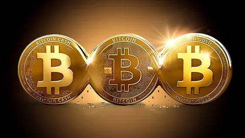 صاحبان بیت کوین : بیت کوین یک سرمایه بلند مدت است!