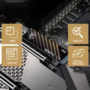 اس اس دی اینترنال PCIe Gen4 x4 ام اس آی مدل SPATIUM M450 ظرفیت 500 گیگابایت - تصویر 3