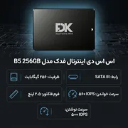 اس اس دی اینترنال فدک مدل B5 256GB  ظرفیت 256 گیگابایت - تصویر 2