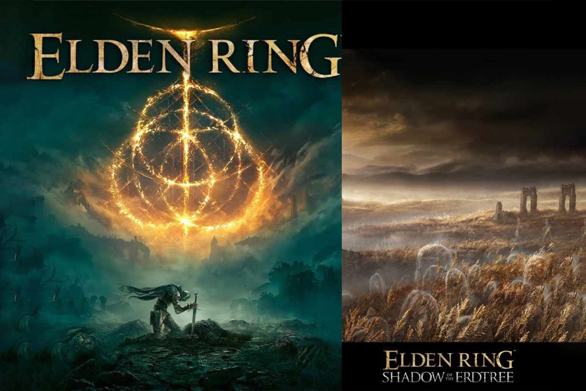 elden ring.jpg