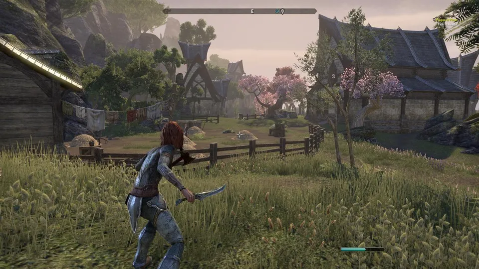 elder scrolls online gameplay