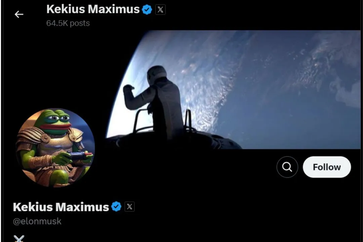 elon-musk-x-profile-with-kekius-maximus-picture