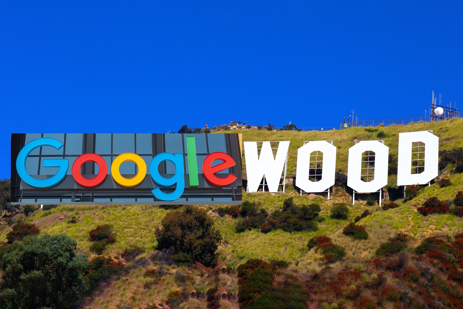 googlewood