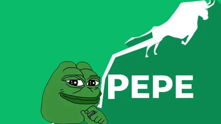سرمایه یک معامله‌گر با اولین سرمایه‌گذاری ۲۰۰ دلاری، به دلیل رشد زیاد رمزارز PEPE، به ۱۳ میلیون دلار رسید