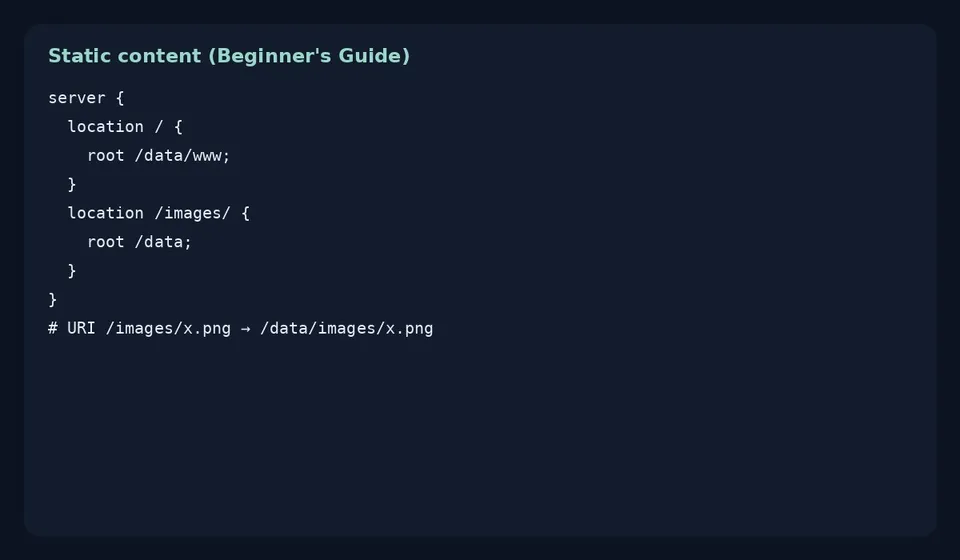 آموزش nginx از صفر؛ اولین سایت استاتیک روی لینوکس