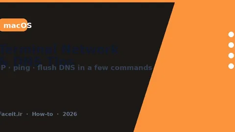 ترفند ترمینال مک؛ پیدا کردن آی‌پی، پینگ و ریست DNS در چند دستور