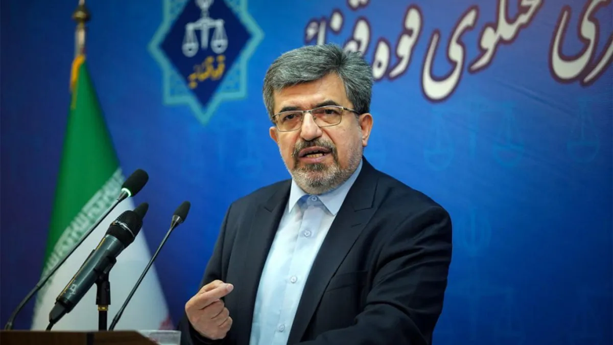 سخنگوی قوه قضائیه درباره پرونده دیجیکالا: گریبان توهین‌کنندگان را رها نمی‌کنیم