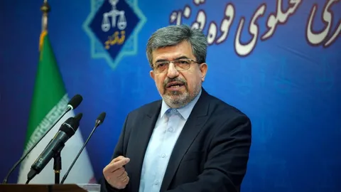 سخنگوی قوه قضائیه درباره پرونده دیجیکالا: گریبان توهین‌کنندگان را رها نمی‌کنیم