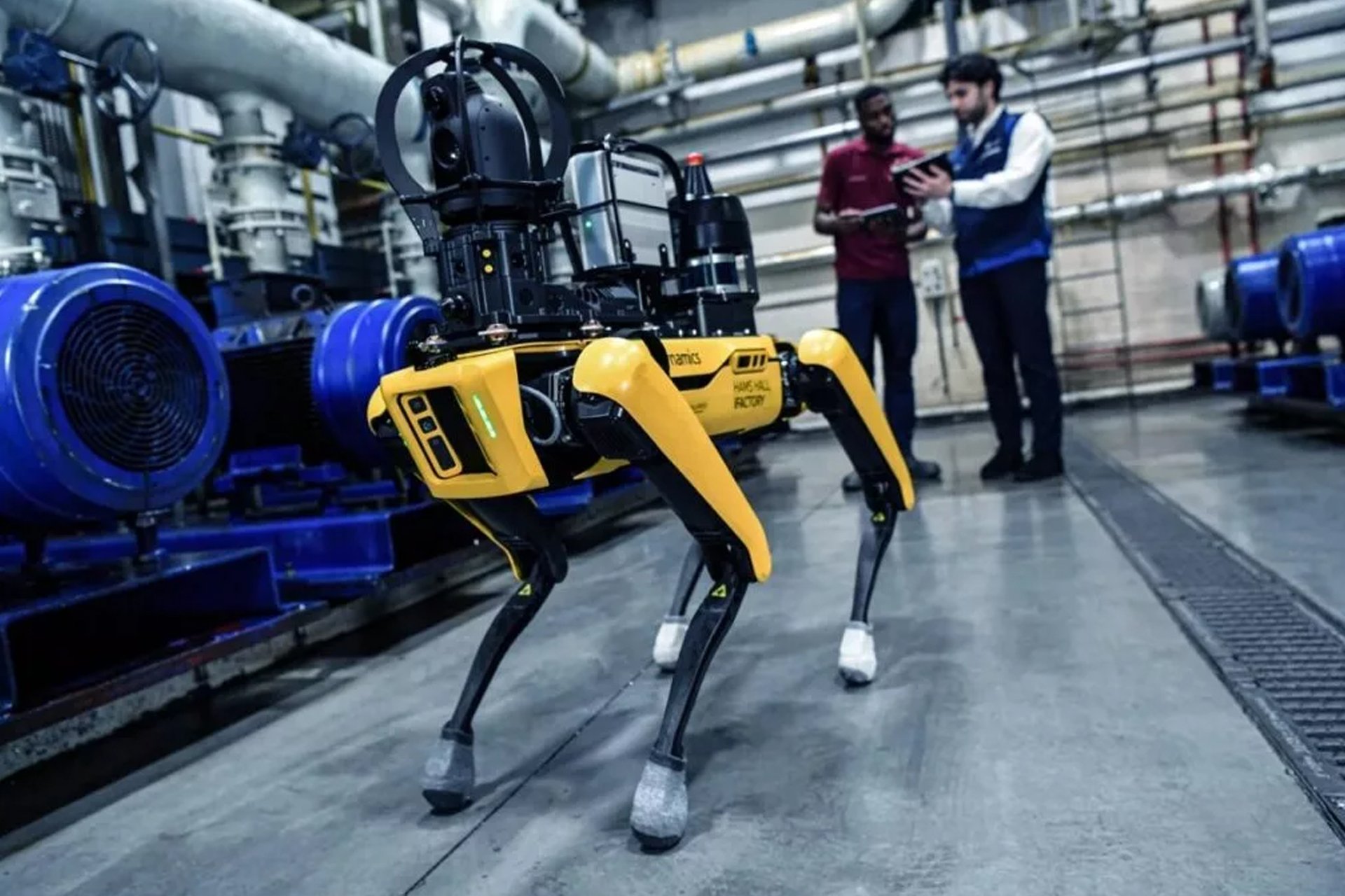 robotic dog