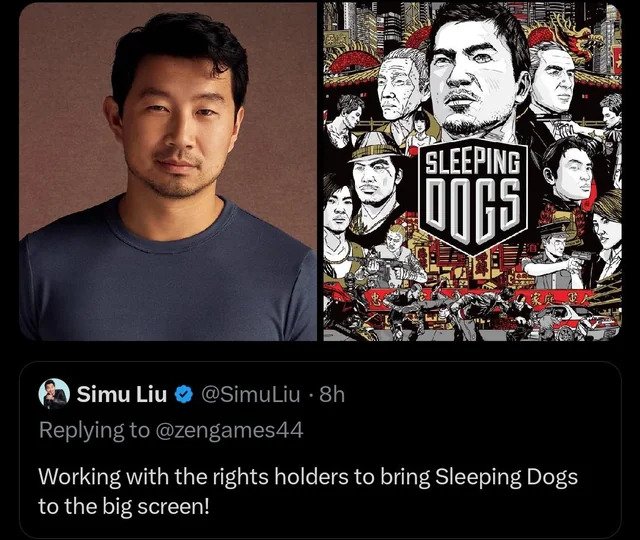 sleeping dogs movie