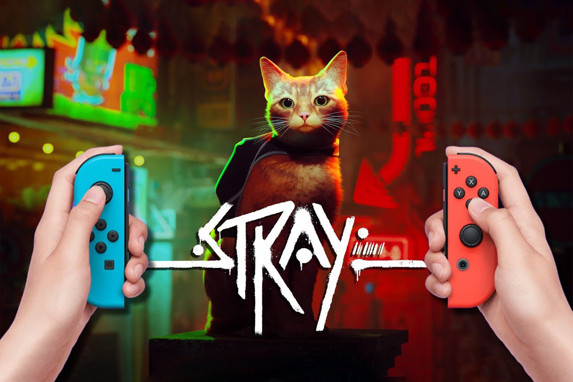 stray switch