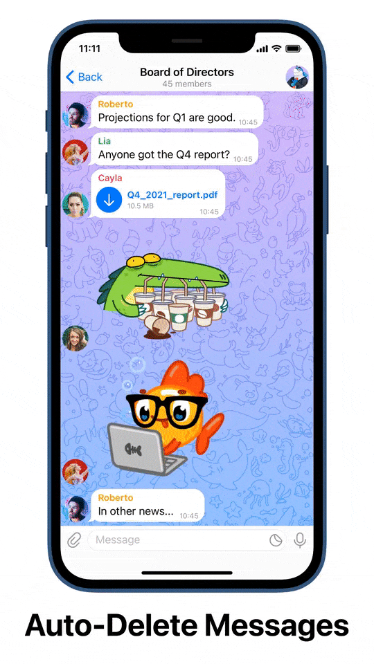 telegram-auto-delete-messages-feature.gif