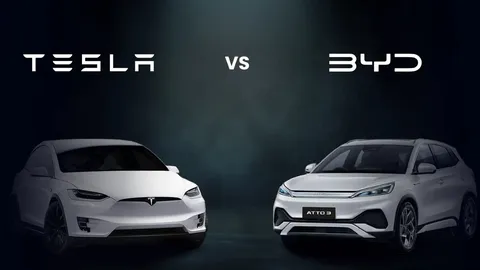 BYD در سال ۲۰۲۴ از تسلا پیشی گرفت؛ رکورد فروش ۱۰۷ میلیارد دلاری