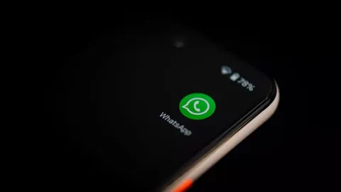 امکان واکنش به پیام بالاخره در واتساپ عرضه شد
