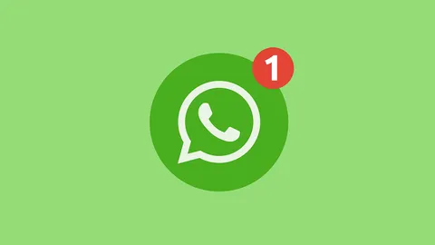 واتساپ امکان ارسال پیام موقت را به زودی فراهم می‌کند
