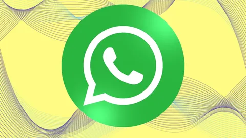 واتساپ با قابلیت جدید جستجوی معکوس تصویر به جنگ اخبار جعلی رفت