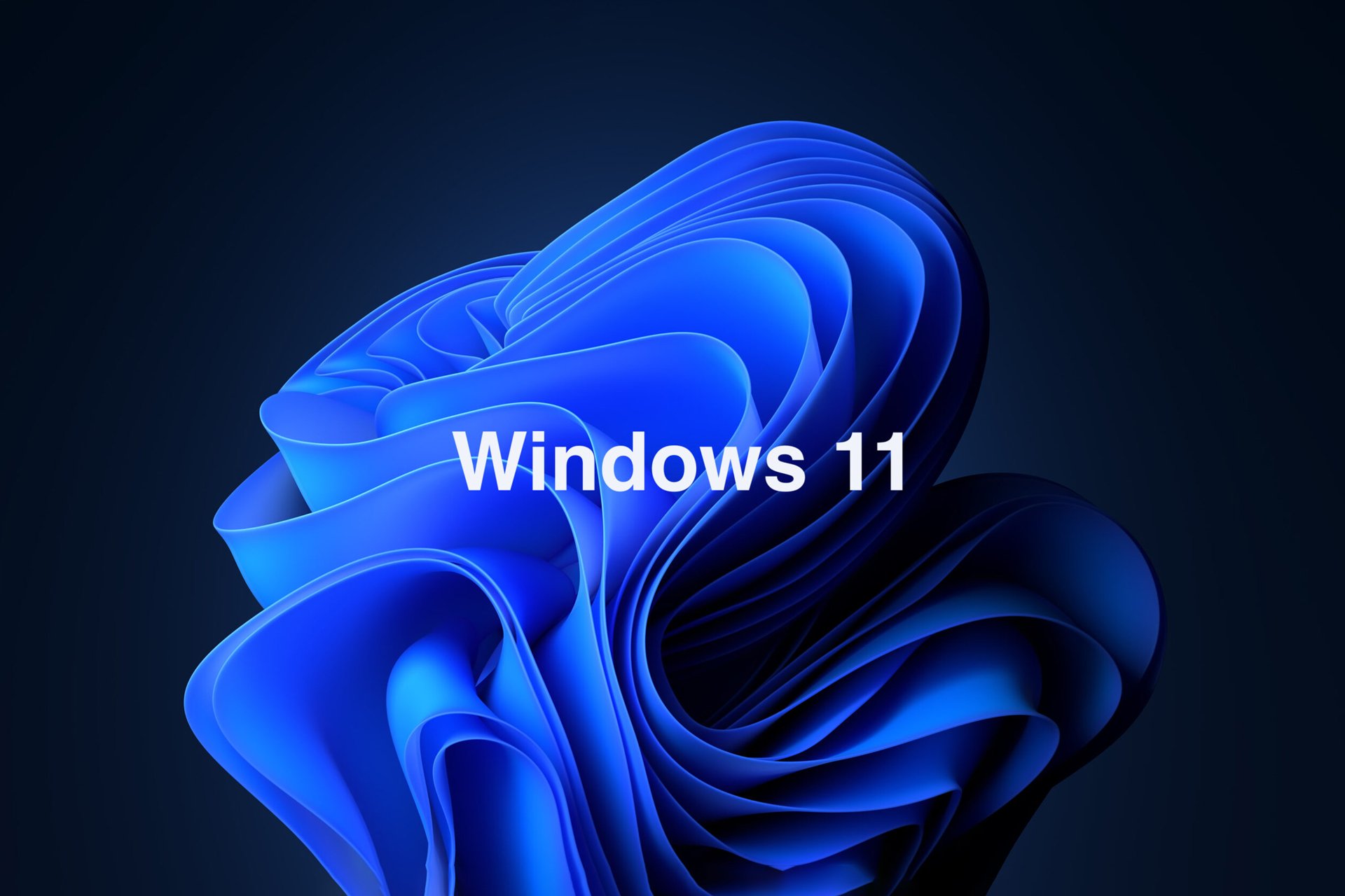 windoas11