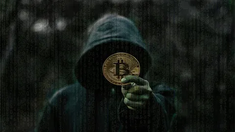 ساتوشی در ساخت بیت‌کوین از متخصصان رمزنگاری کمک گرفته